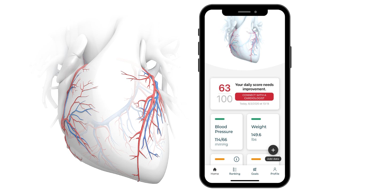 An illustration of arteries and veins in the human heart next to a phone with a screenshot from the Corverix app