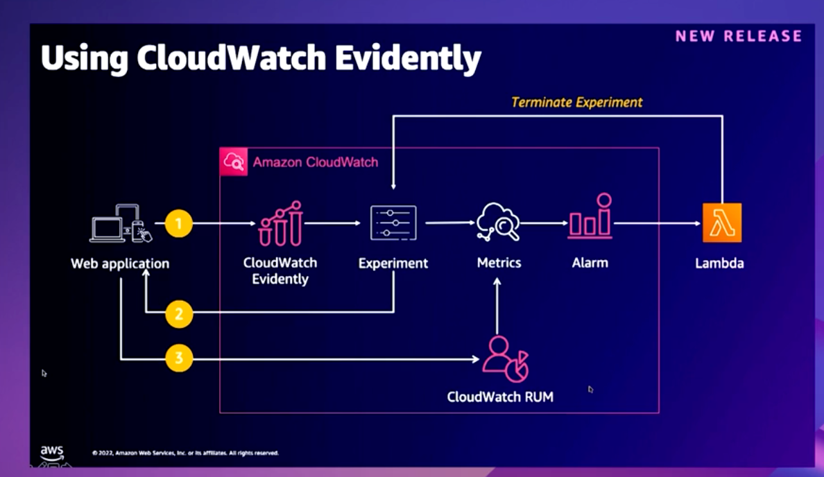 AWS Cloudwatch evidently diagram